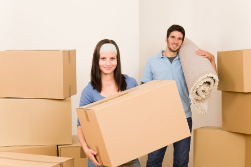Special Collection Services in North Watford