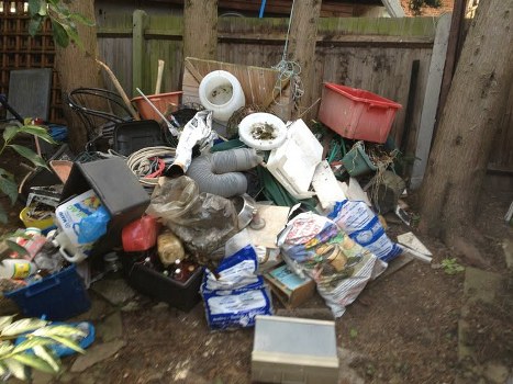 Rubbish bins ready for collection in Earls Court